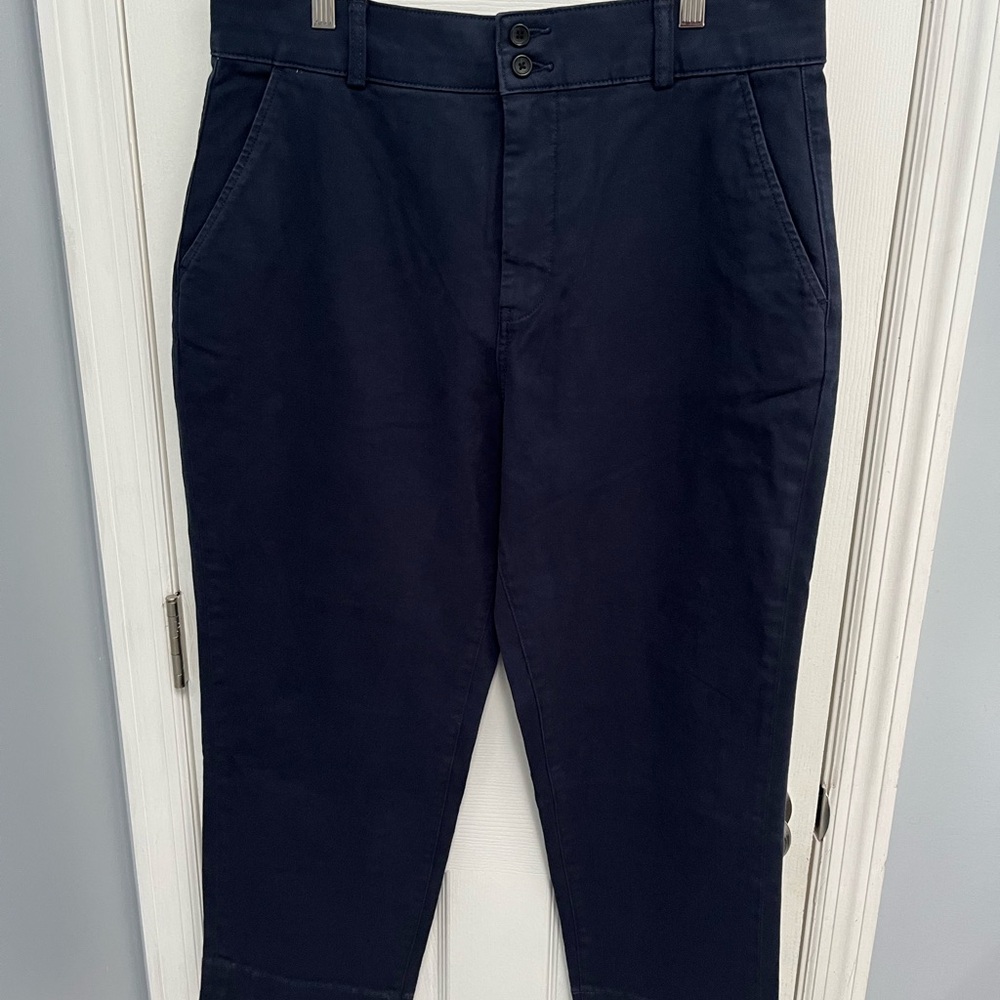 Everlane Women's 16 Blue Lightweight Wide Leg Crop Chino Pants